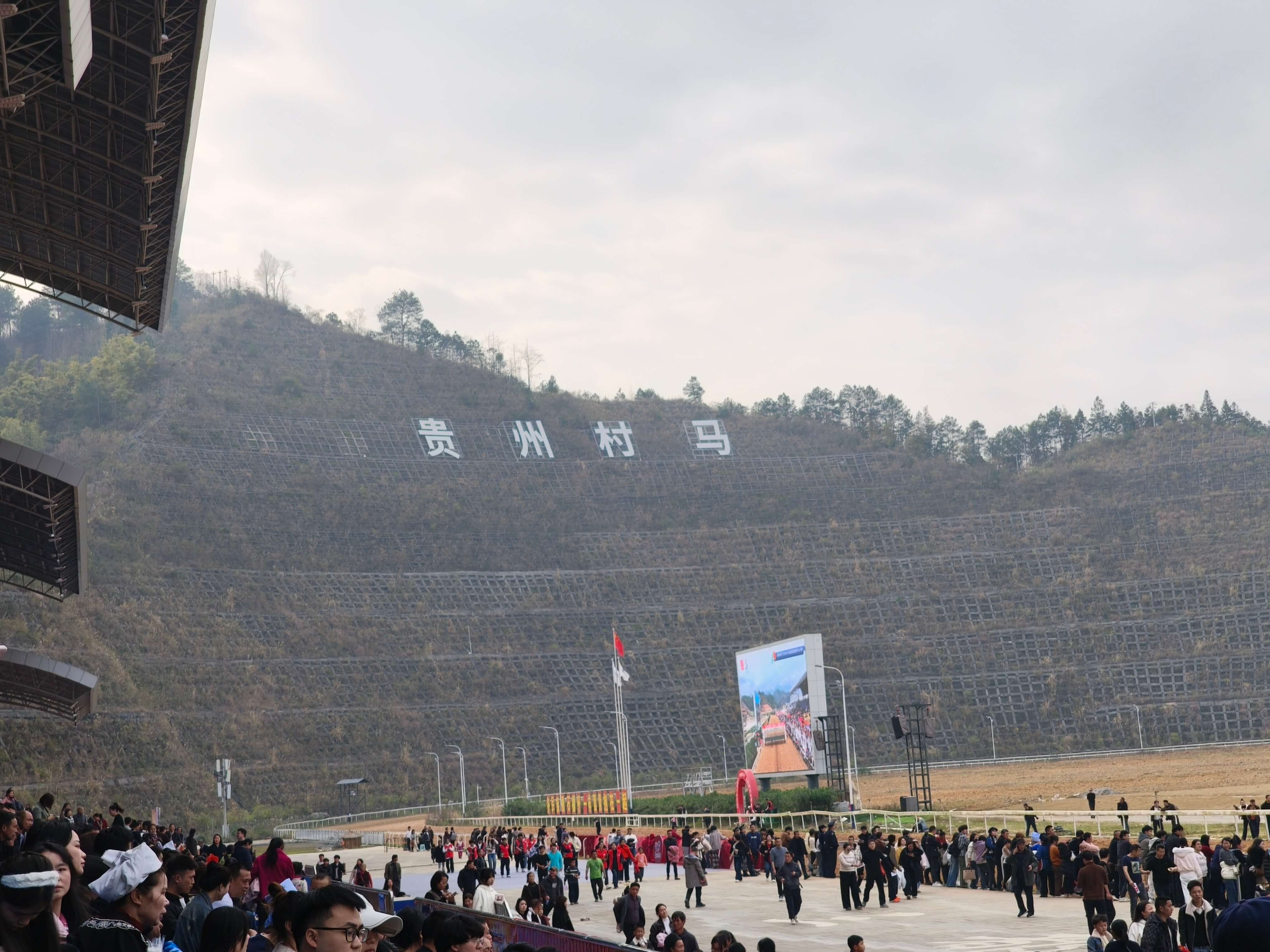 图片_20260303015421_11_40.jpg