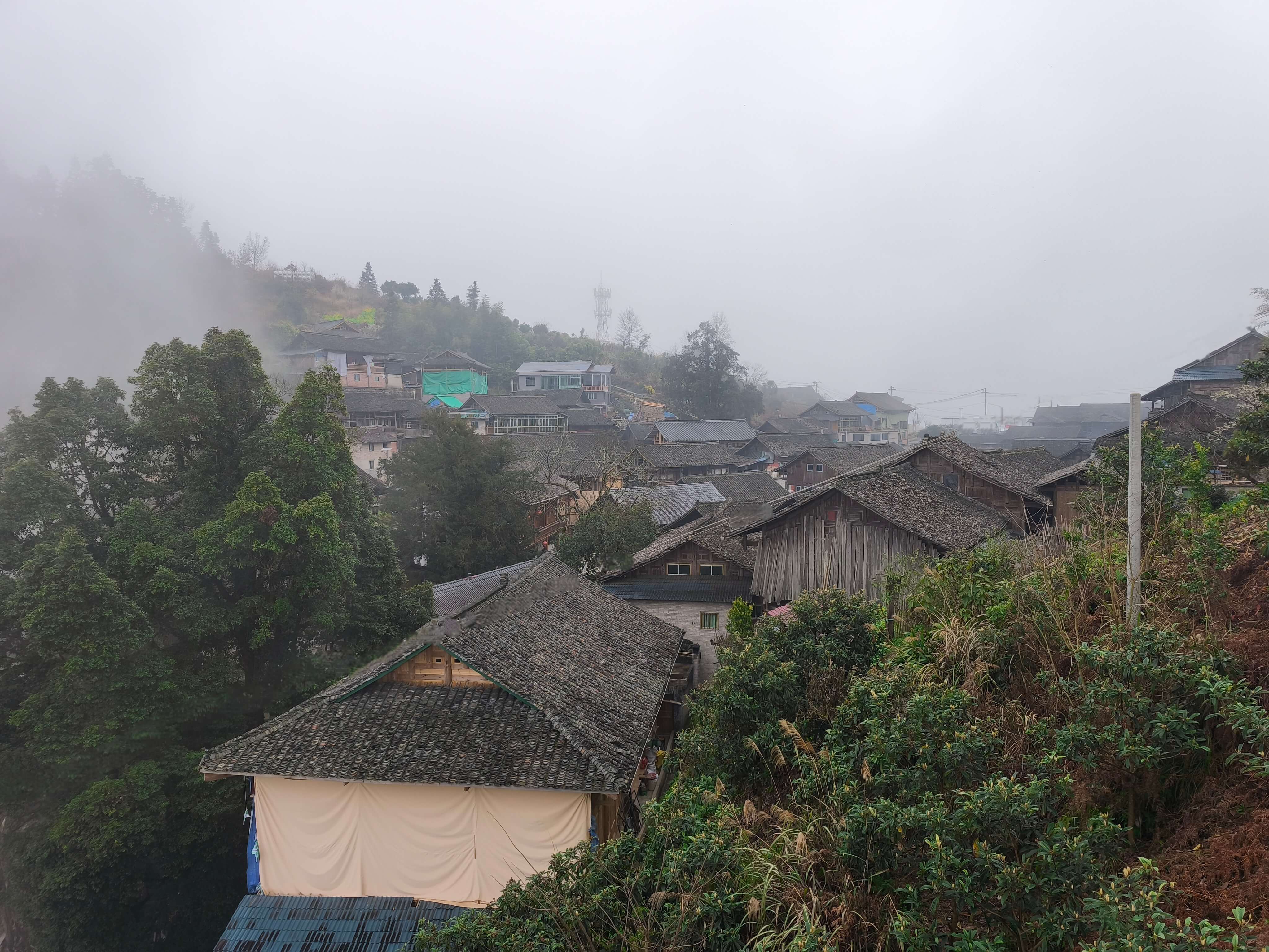 图片_20260305013046_492_74.jpg