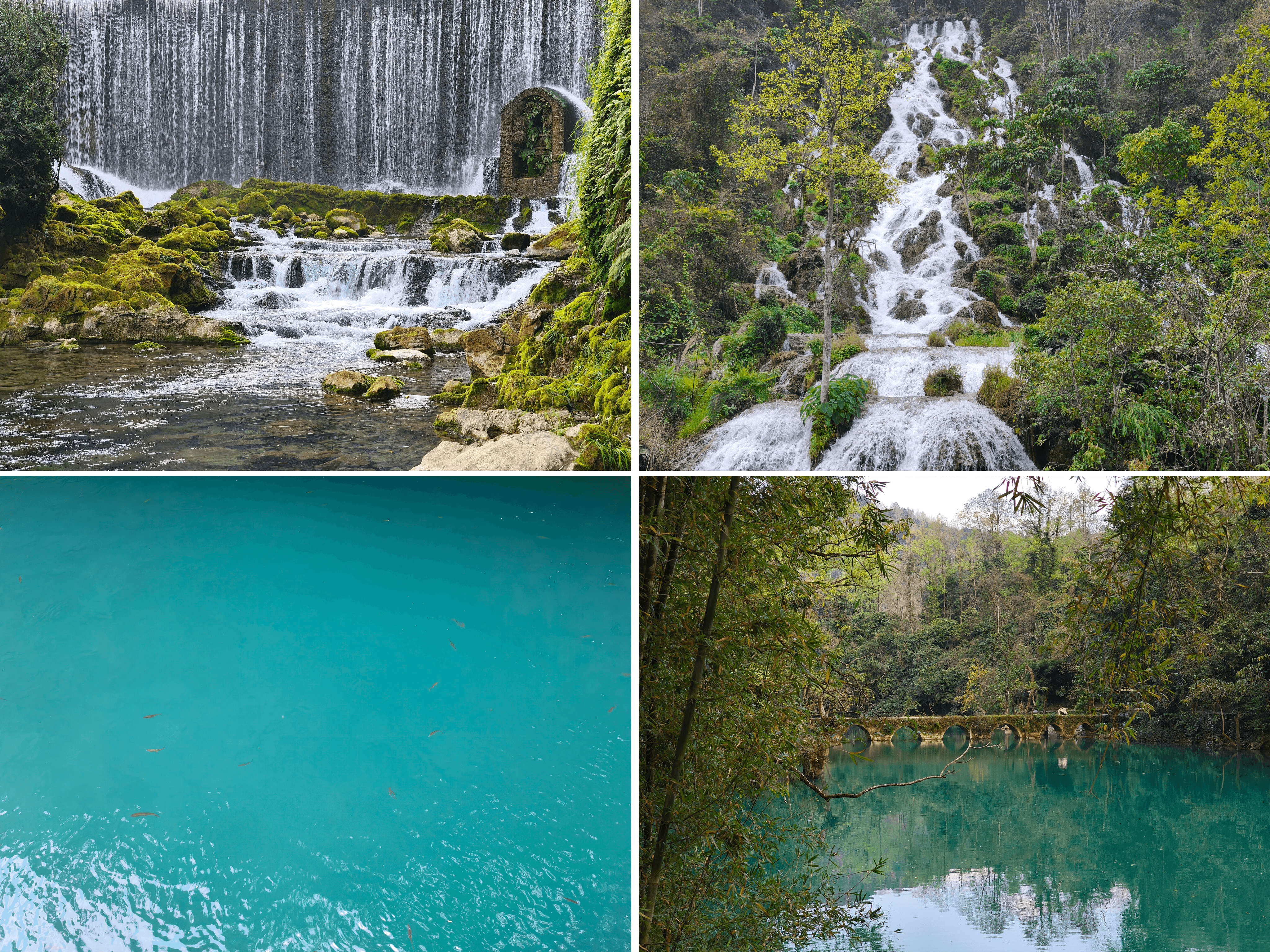 图片_20260330094240_116_401.png