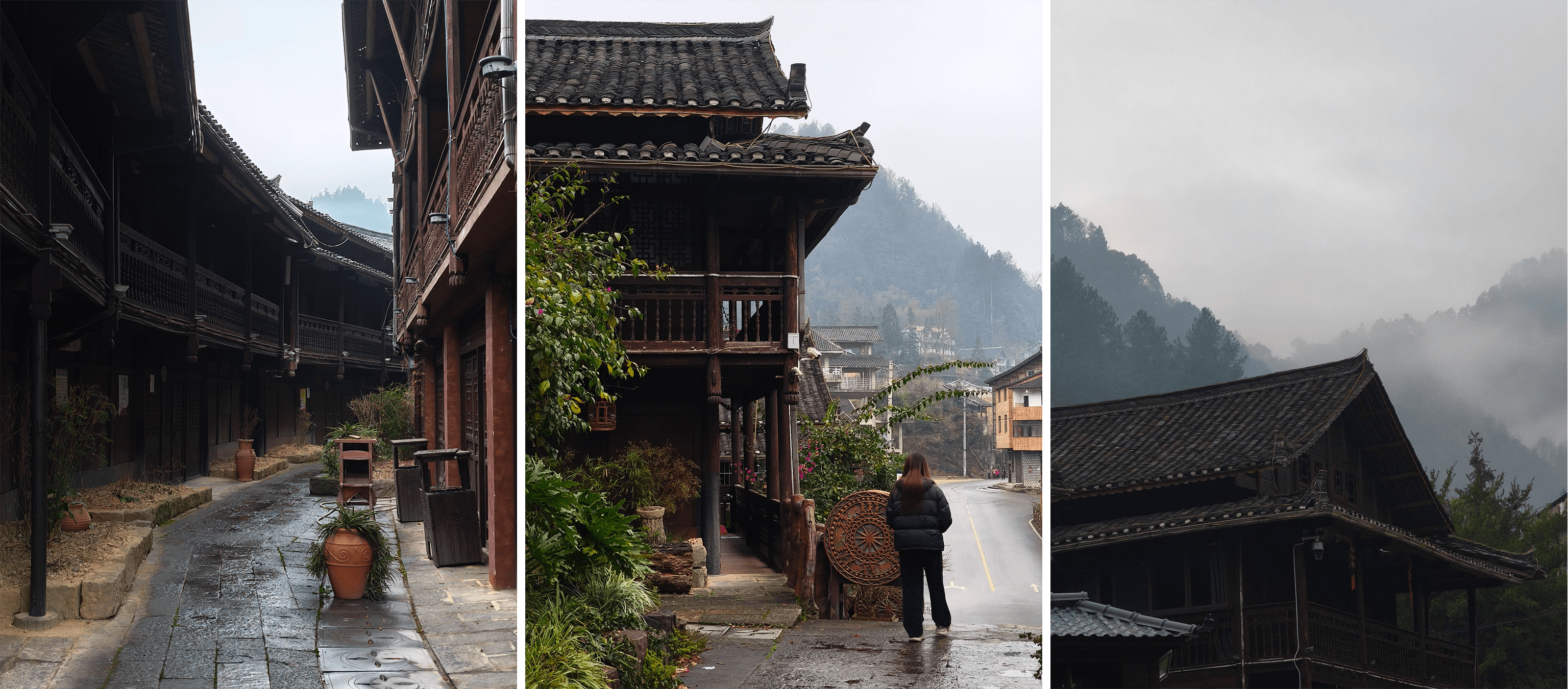 图片_20260305013048_494_74.png