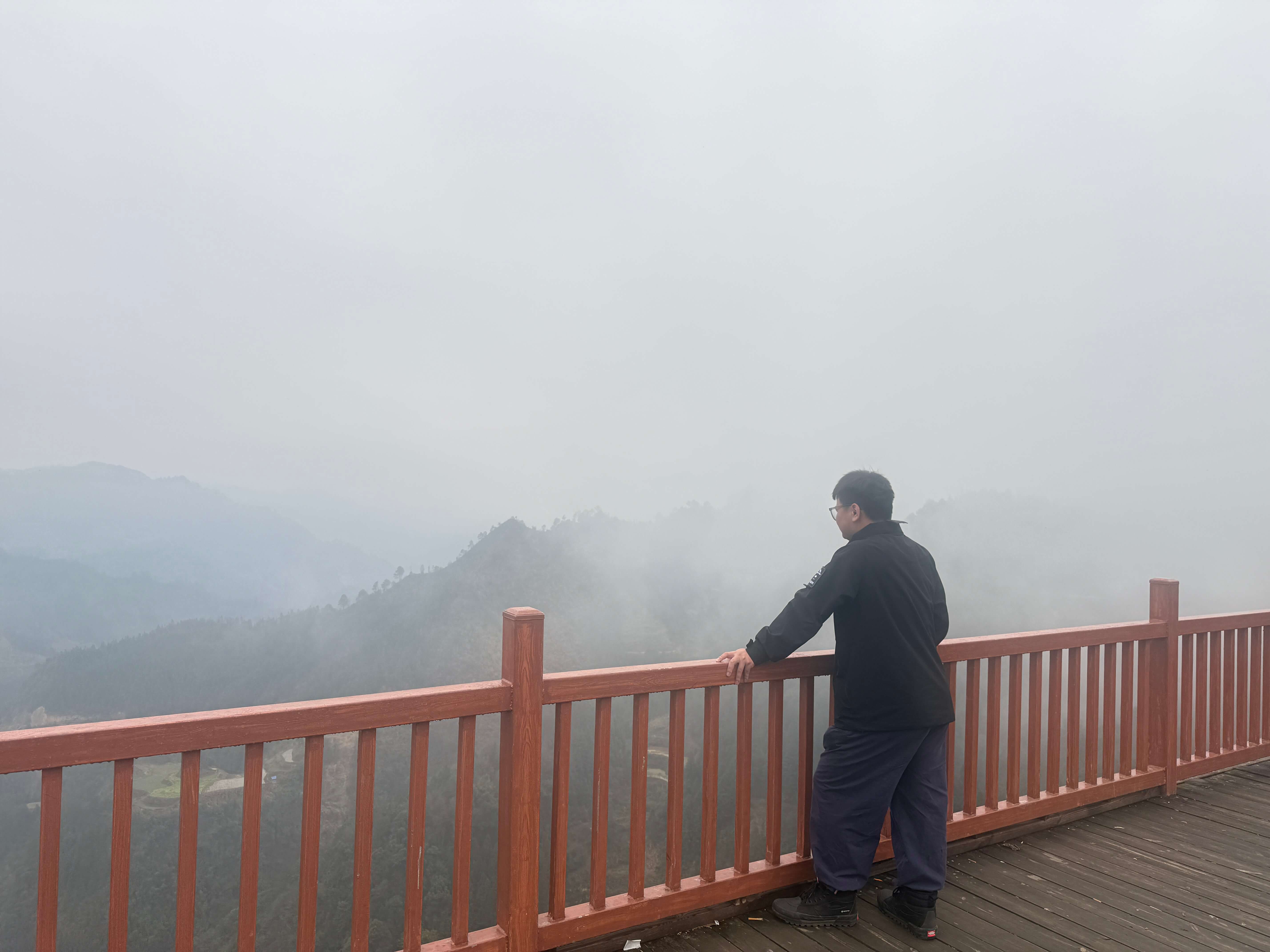 图片_20260305013044_491_74.jpg